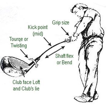 Professional Fitting